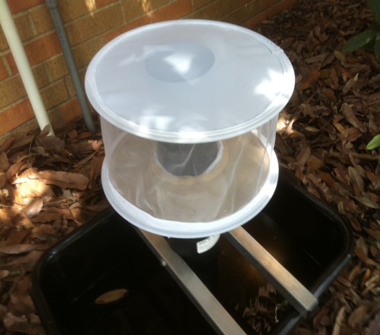Mosquito Trap